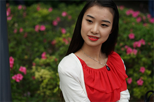 上海城市规划与住房问题的协同发展 上海城市规划与住房问题的协同发展